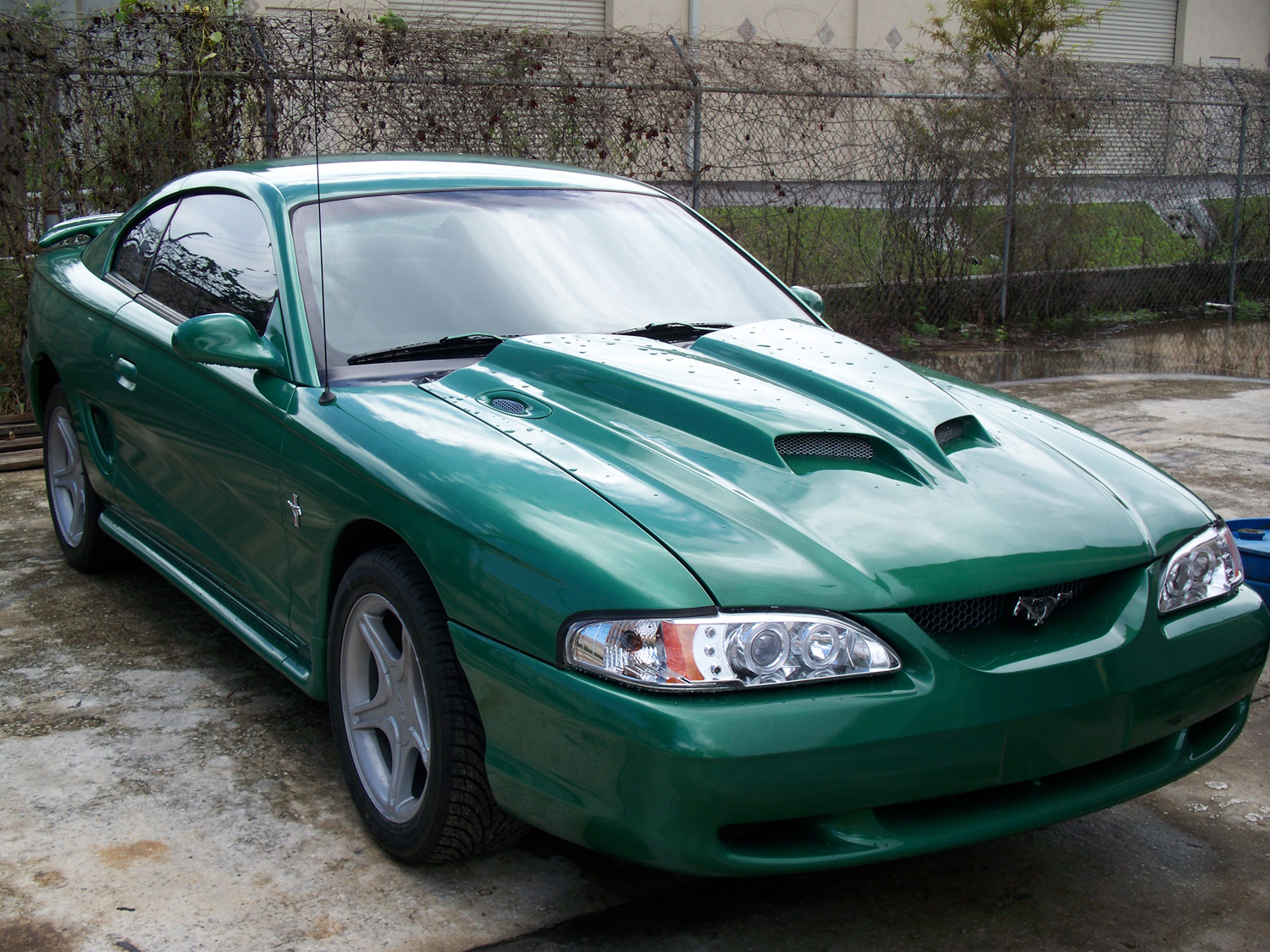 Jessie's Mustang